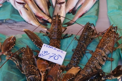 photo 462893