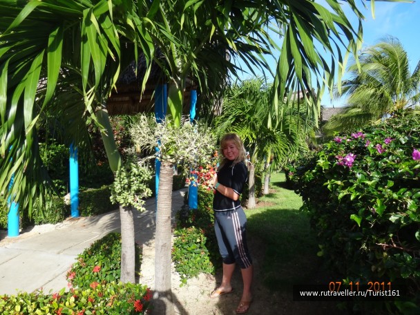 photo 185222