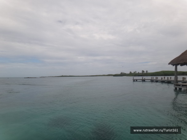 photo 185317