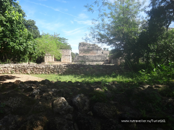 photo 185325