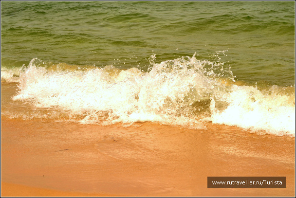 photo 71955