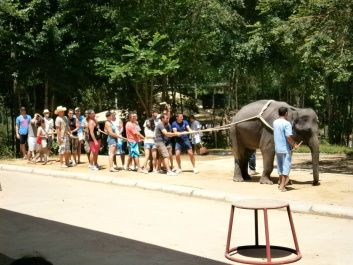 photo 428928