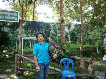 photo 428930