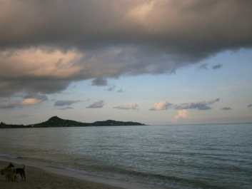 photo 428959