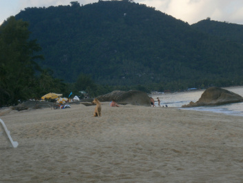 photo 428963