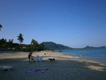 photo 428969
