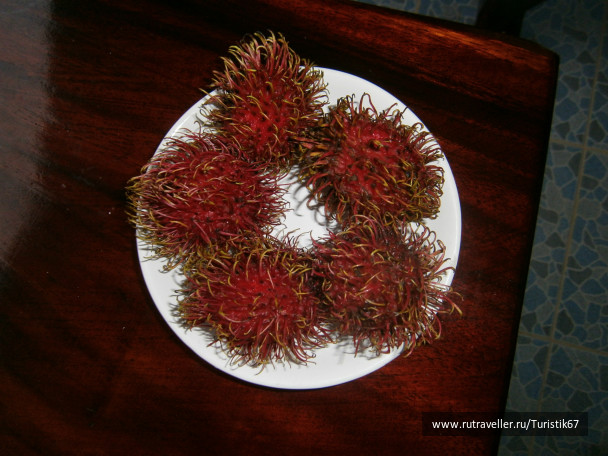 photo 430079