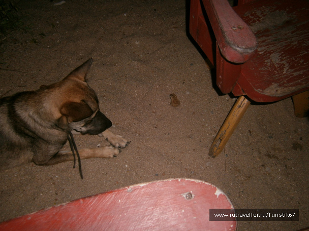 photo 430080