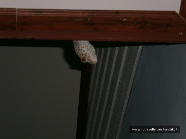 photo 430099