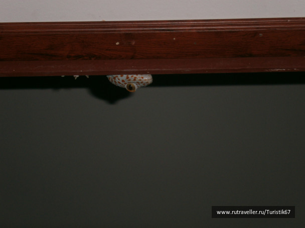 photo 430108
