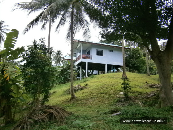 photo 430111