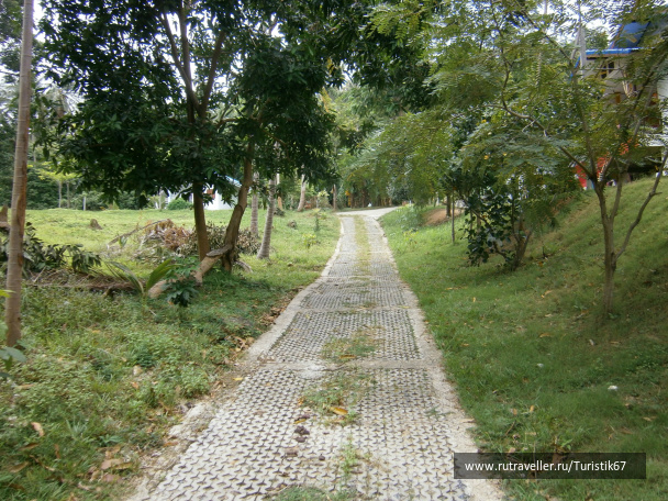 photo 430112