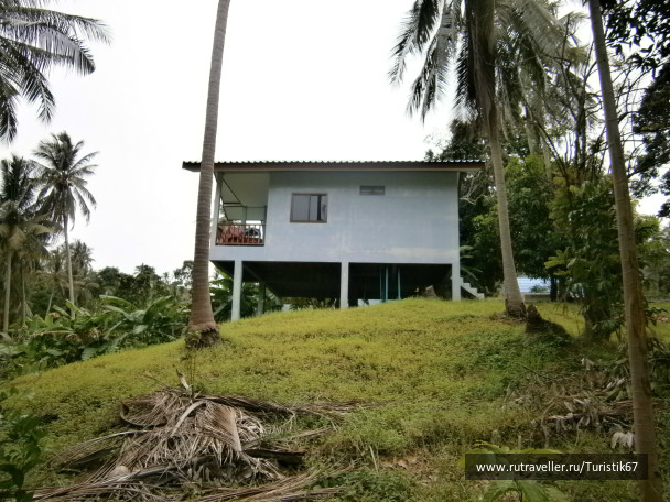 photo 430113