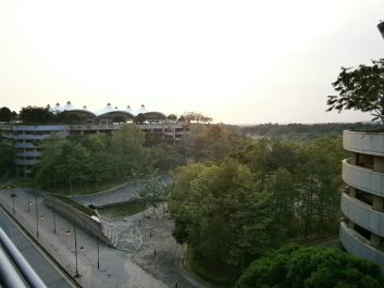 photo 429799