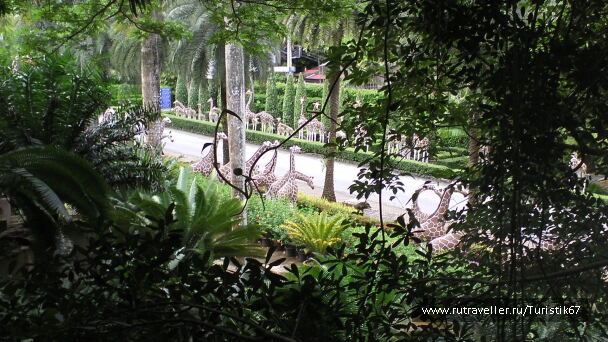 photo 429146