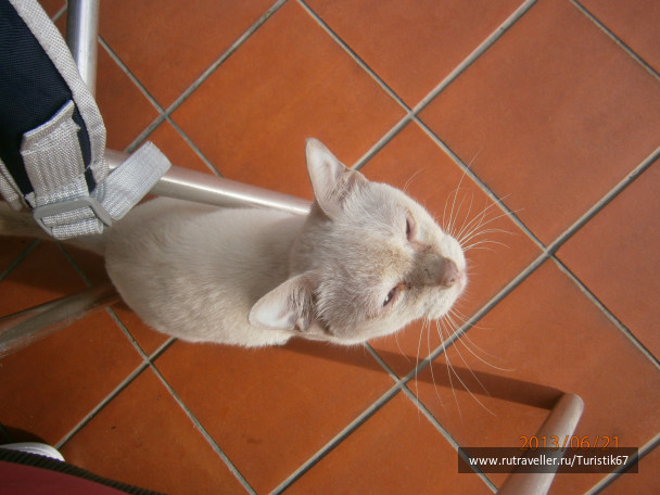 photo 430167