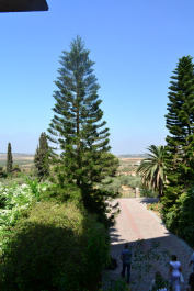 photo 212281