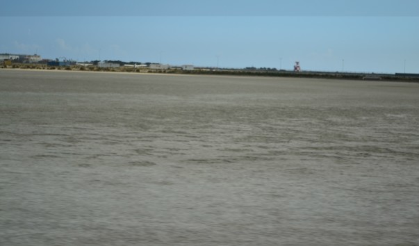 DSC_0097