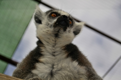 photo 828504