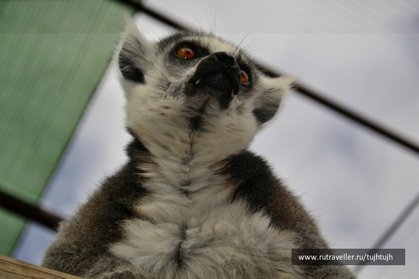 photo 828504
