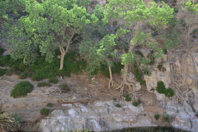 photo 1099764