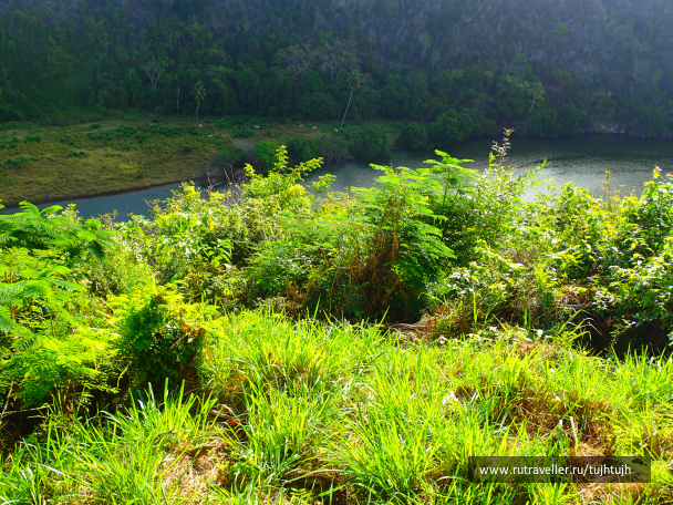 photo 1252272