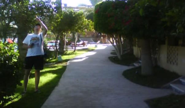 DSC00685