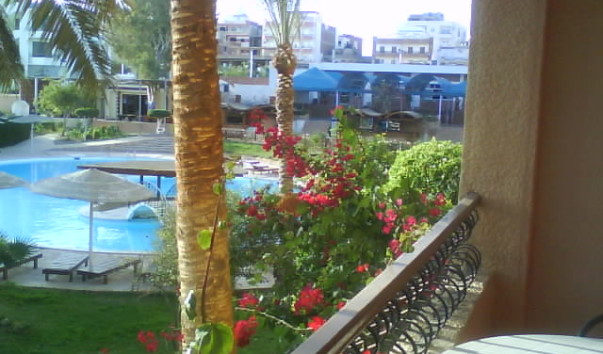 DSC00829