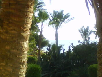 photo 495223