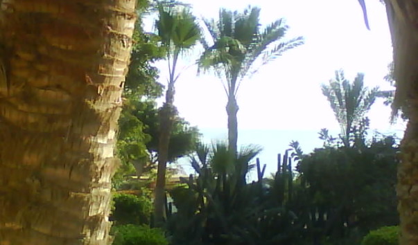 DSC00827