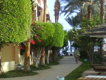 photo 495226