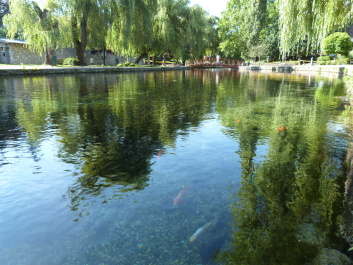 photo 586133