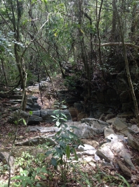 photo 586563