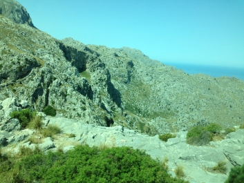photo 475291