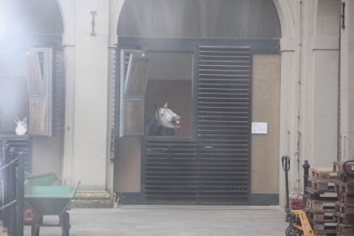 photo 478811