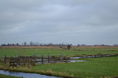 photo 642641