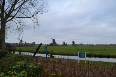 photo 642833