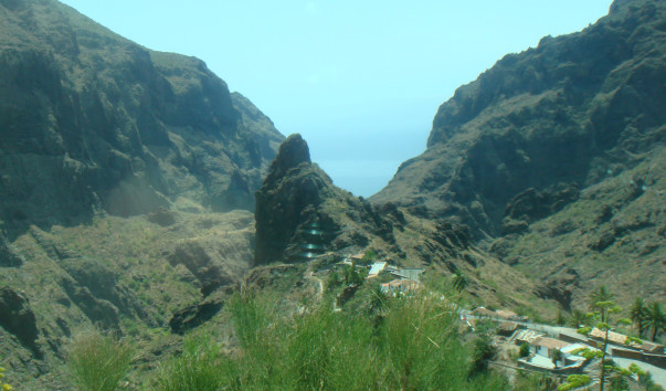 DSC04565
