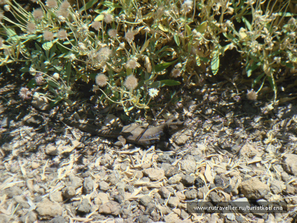 photo 714131