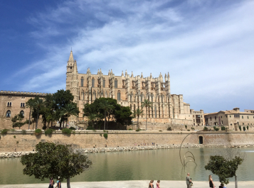photo 1114494