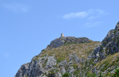photo 1115506