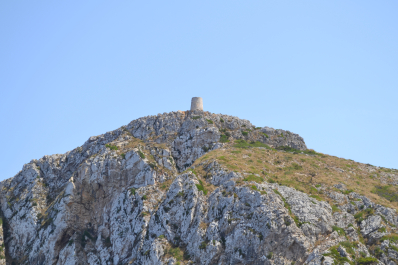photo 1115540