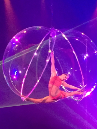 photo 1115580