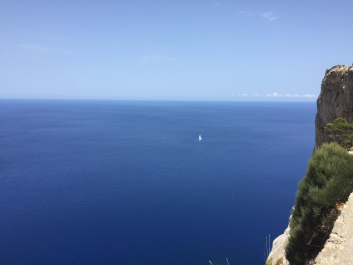 photo 1115764