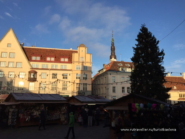 photo 1219239