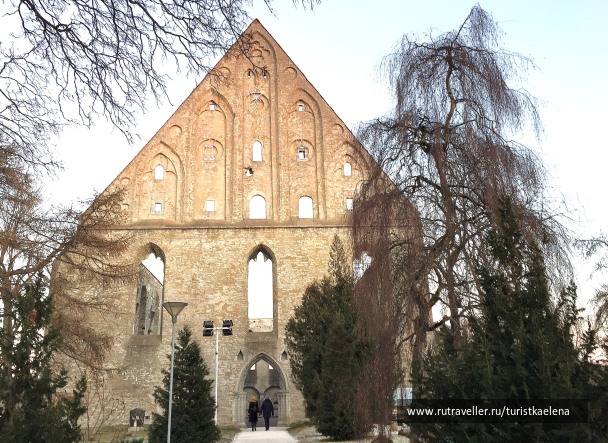 photo 1219609
