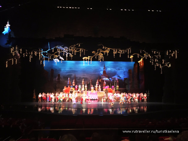 photo 1433146