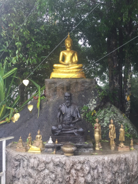 photo 1433410
