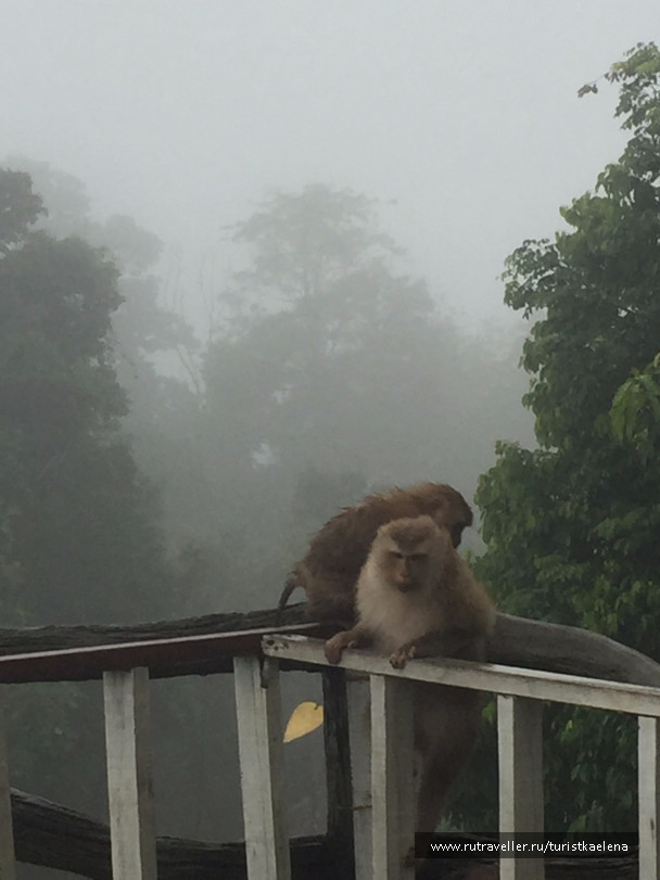 photo 1433411