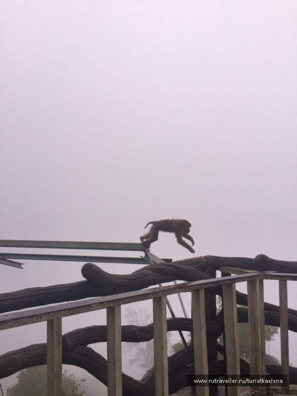 photo 1433412